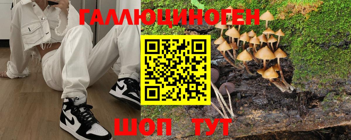 Галлюциногенные грибы GOLDEN TEACHER Борзя
