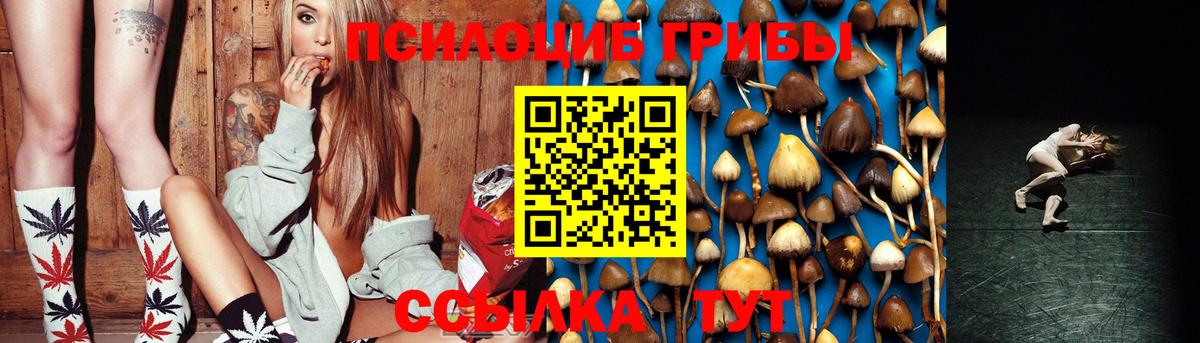 цена наркотик  Псилоцибиновые грибы MAGIC MUSHROOMS  Вход с VPN  Борзя  Галлюциногенные грибы мухоморы 